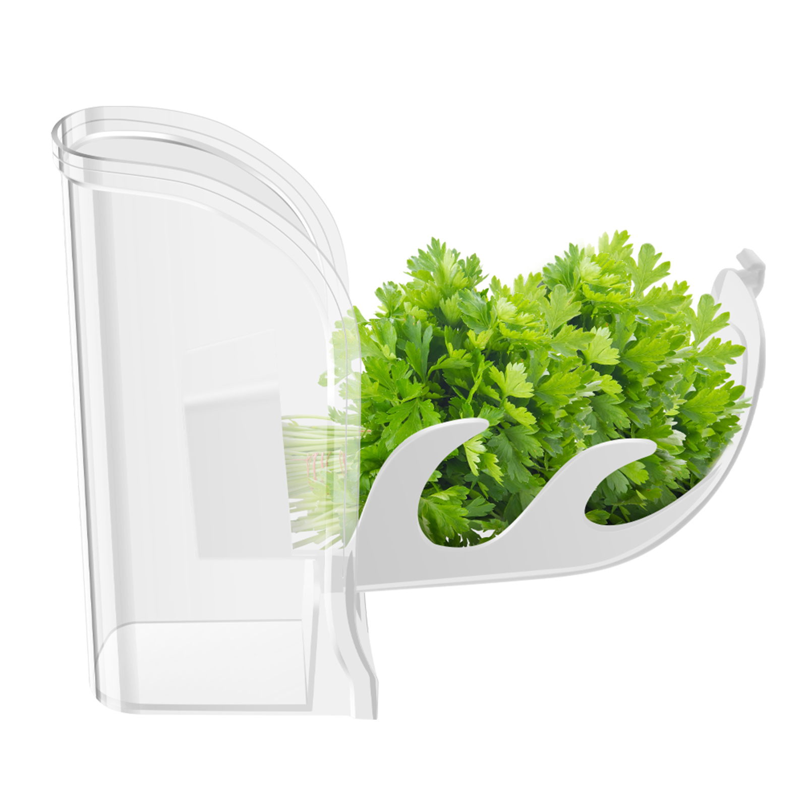 Contenedor para verduras y hie - Kitchen Gadgets Modern reseña y precio