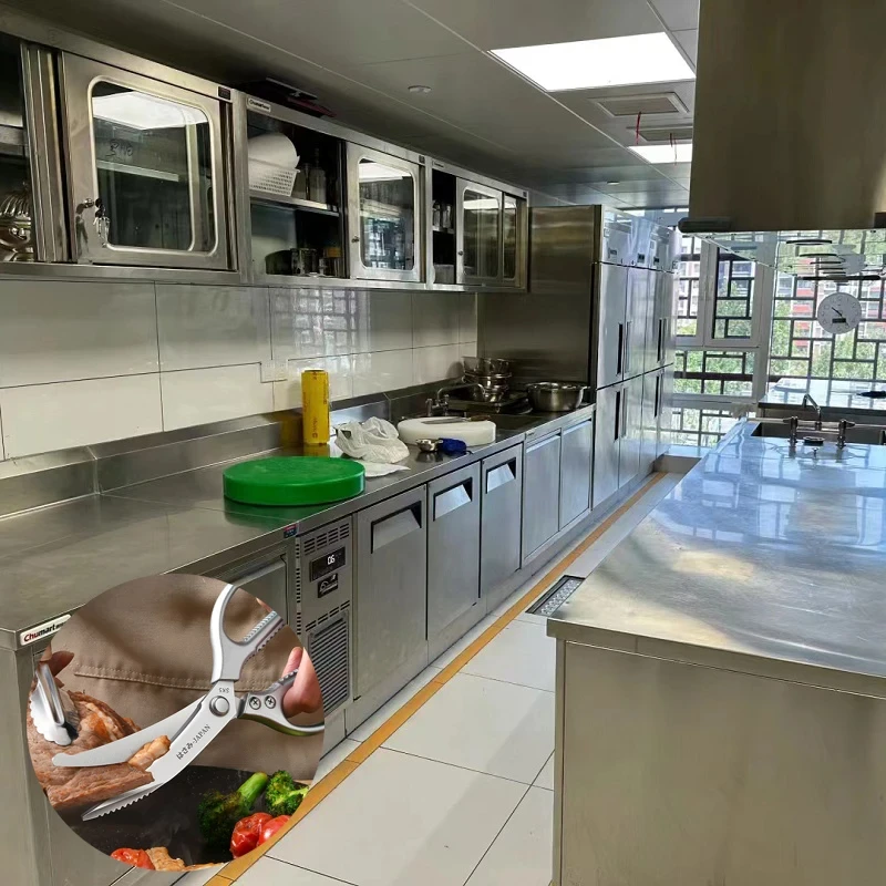 Tijeras de cocina Seiko de ace - Kitchen Gadgets Cool reseña y precio