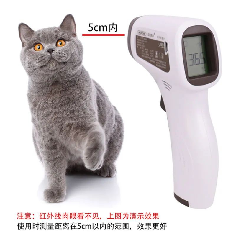 Termómetro Equipo veterinario  - Instant Read Thermometer reseña y precio